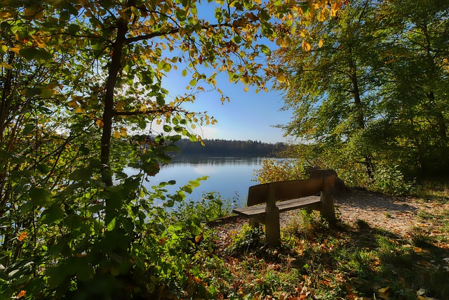 之所以备受 之所以备受