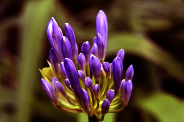 历史数据显 历史数据显