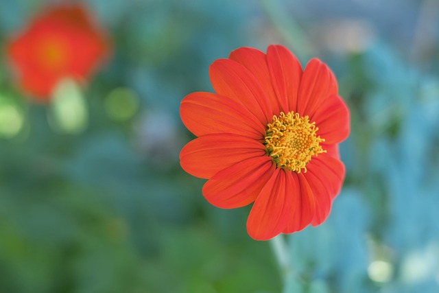 于现有的成 于现有的成