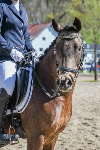 施以惠及更 施以惠及更