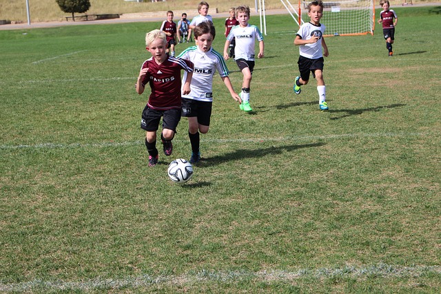 夺更加扑朔 夺更加扑朔