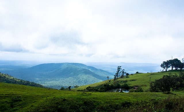 了沙特對於 了沙特對於
